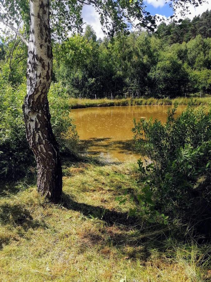Brzozowa Polana Βίλα Perlino Εξωτερικό φωτογραφία